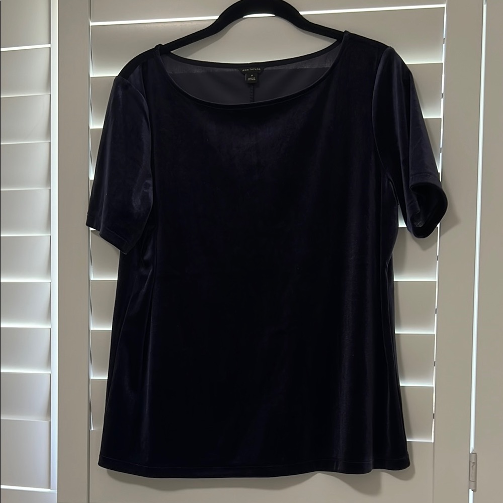 Ann Taylor Women's Blue Velvet Top-worn once -